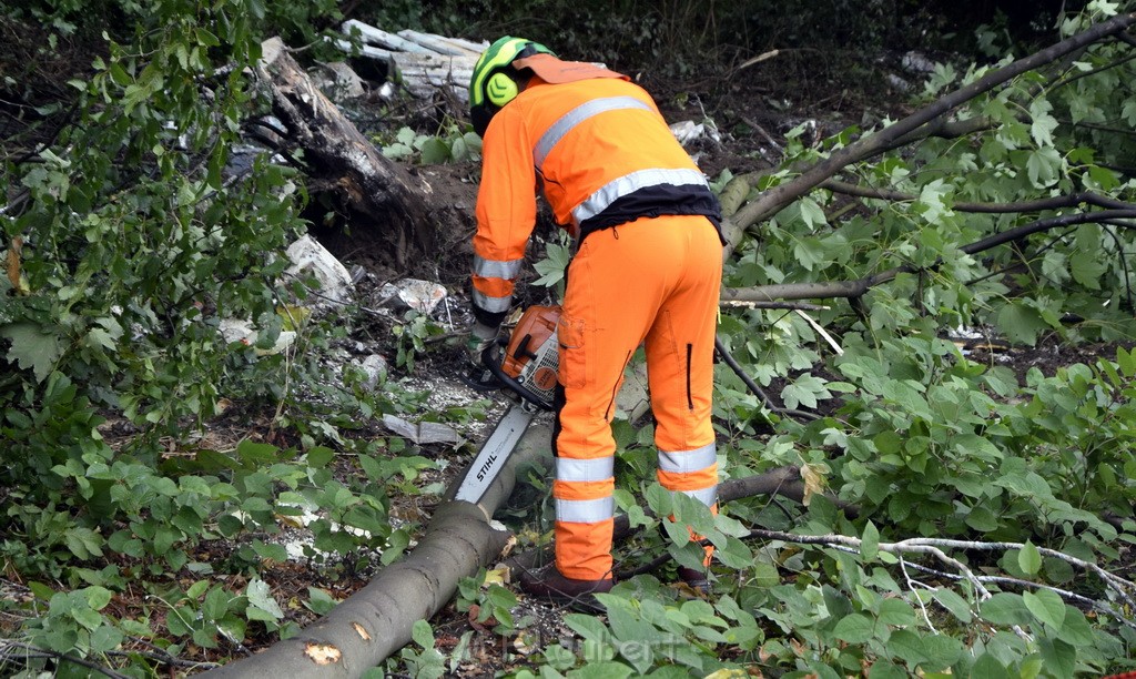 Schwerer VU A 3 Rich Oberhausen Hoehe AK Leverkusen P530.JPG - Miklos Laubert